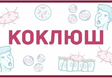 Коклюш и его профилактика